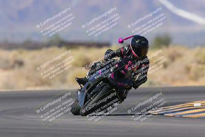 media/Nov-11-2023-SoCal Trackdays (Sat) [[efd63766ff]]/Turn 16 (11am)/